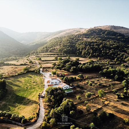 Tenuta Bianca Agriresort Sanza ภายนอก รูปภาพ